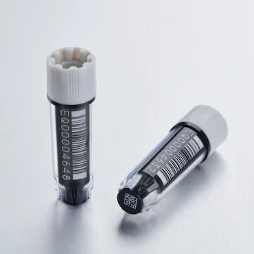艾本德Eppendorf CryoStorage Vial，無菌, 無菌, 0.5 mL, 不含 DNase、RNase、人類 DNA 和內(nèi)毒素；外螺紋，預(yù)先加蓋灰色管蓋，帶 2D SafeCode 